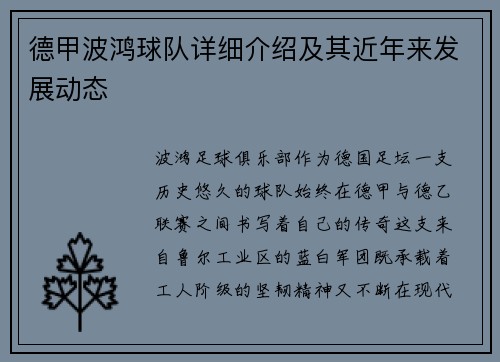 德甲波鸿球队详细介绍及其近年来发展动态